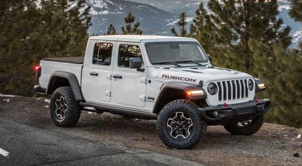 Rubicon Gladiator